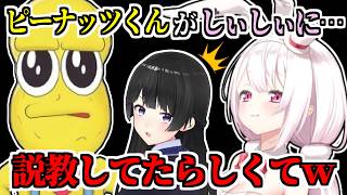 ピーナッツくん、しぃしぃに説教疑惑？/ぽんぽこに感動する月ノ美兎/ワンマンライブ×ぽこピー裏話【にじさんじ切り抜き】