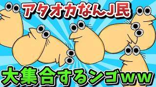 【超超総集編】アタオカなんJ民、大集合するンゴｗｗｗ【ゆっくり解説】【作業用】【2ch面白いスレ】
