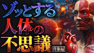 【雑学】眠れない夜に聴きたいゾッとする人体の不思議【勉強や作業中にもおすすめ】