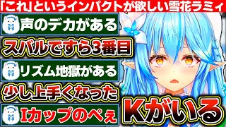 声のデカさも胸のデカさも上には上がいる環境で独自のインパクトが欲しい雪花ラミィ+雪民が提案するガバガバ身バレ対策【ホロライブ/雪花ラミィ】
