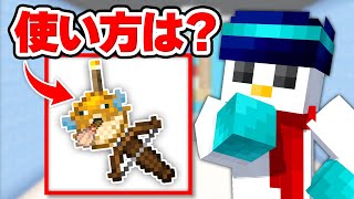 What did Quiz Orafu-kun say next? [Minecraft]