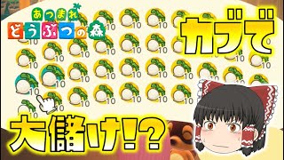 【あつ森】カブ大量購入でフルポジション！投資で大儲けなるか！？ゆっくり達のあつまれどうぶつの森 part9