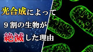 【ゆっくり解説】大酸化事変は全てを変えた