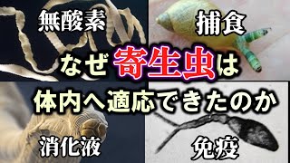 【ゆっくり解説】寄生虫の進化~体内で生きるという選択～