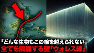 空飛ぶ鳥さえ越えられない正体不明の仮想境界線【自然】