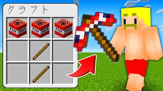 【マイクラ】チートアイテムが作れる世界でサバイバル