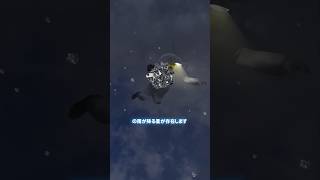 嘘を一つ見抜いてください #shorts