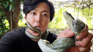【総勢100匹以上】本物の動物好きによる極上のペット紹介