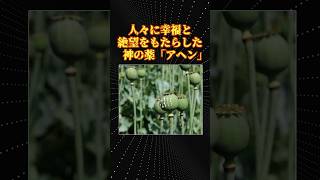 神の薬「アヘン」