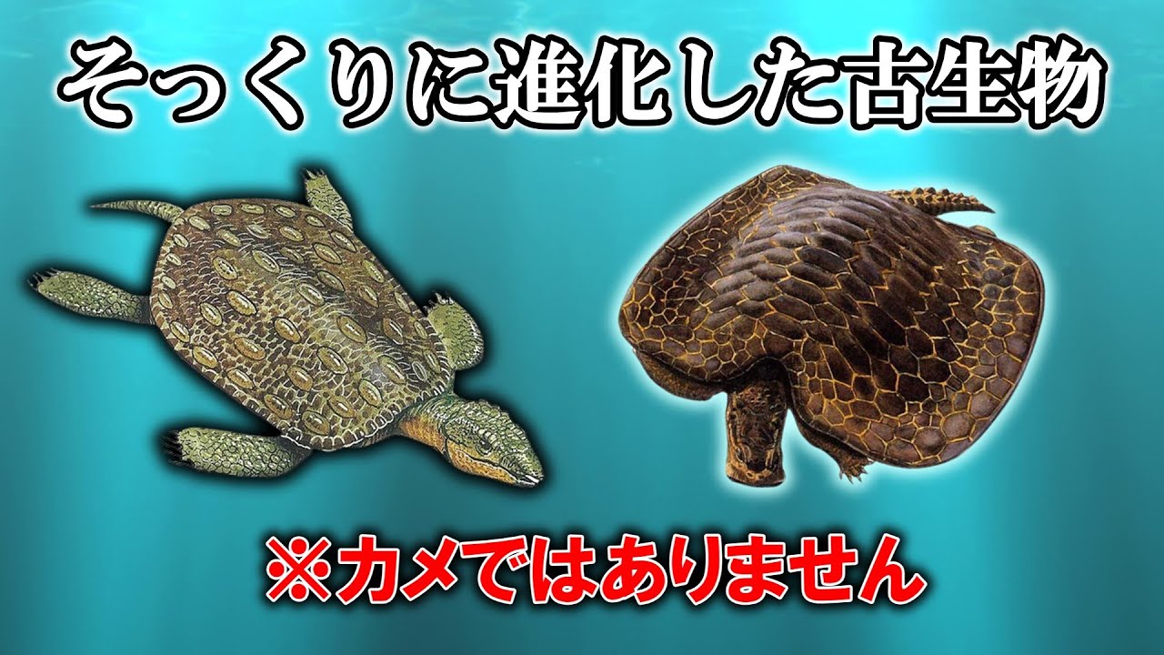 サムネ