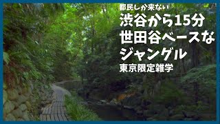 世田谷ベース近くの高級住宅街に大自然が広がっていた【東京】【雑学】【等々力渓谷】【所ジョージ】【都民しか来ない】【デート】【神社】【歴史】【等々力不動尊】【トヨペットクラウンRS】【地形】【解説】