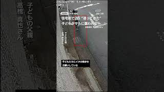 サルに子どもが襲われる　逃げても家まで追いかけられて(2025年5月8日放送) #shorts