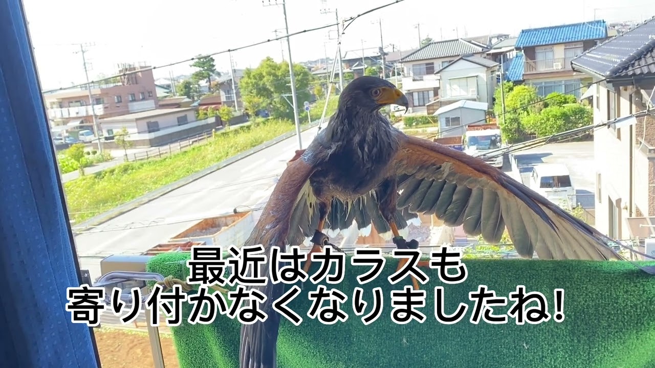 サムネ