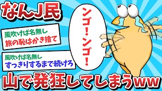 【悲報】なんJ民、山で発狂してしまうwww【2ch面白いスレ】【ゆっくり解説】