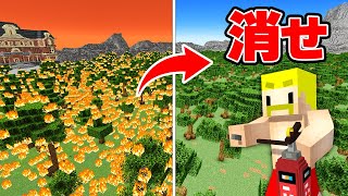 超広い森の火をすべて消すまで終われません！【マイクラ】