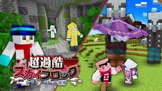 【超過酷スカイブロック】巨人島でかくれんぼ！#2【マイクラ】