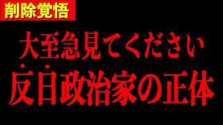 【井川意高】※この政治家何かがおかしい...日本で今恐ろしいことが進んでいます【三橋TV公認】
