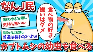 【悲報】なんJ民、カブトムシの幼虫を食べてしまうｗｗｗ【2ch面白いスレ】【ゆっくり解説】