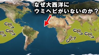 【ゆっくり解説】ウミヘビが大西洋に行けない理由