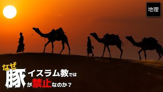 ゆっくり解説 なぜイスラム教は豚肉を禁止にしたのか？