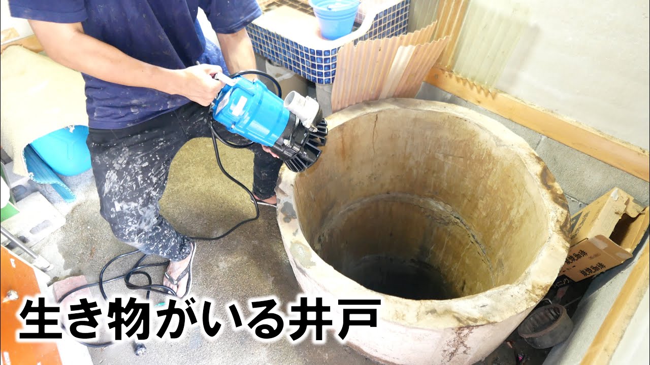 サムネ