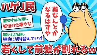 【悲報】なんJ民、若いのに前髪が割れてしまうｗｗｗ【2ch面白いスレ】【ゆっくり解説】