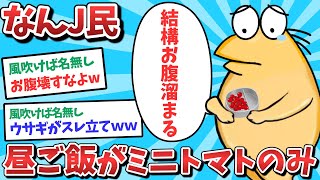 【悲報】なんJ民、昼ご飯がミニトマトのみになってしまうｗｗｗ【2ch面白いスレ】【ゆっくり解説】