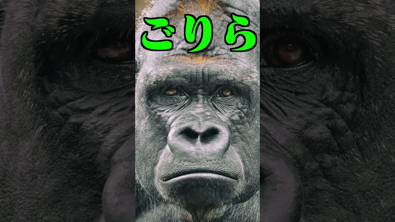 サムネ