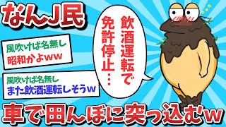 【悲報】なんJ民、車で田んぼに突っ込んでしまうｗｗｗ【2ch面白いスレ】【ゆっくり解説】