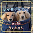アイコン