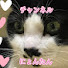 アイコン