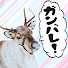アイコン