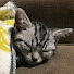 アイコン
