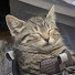 アイコン